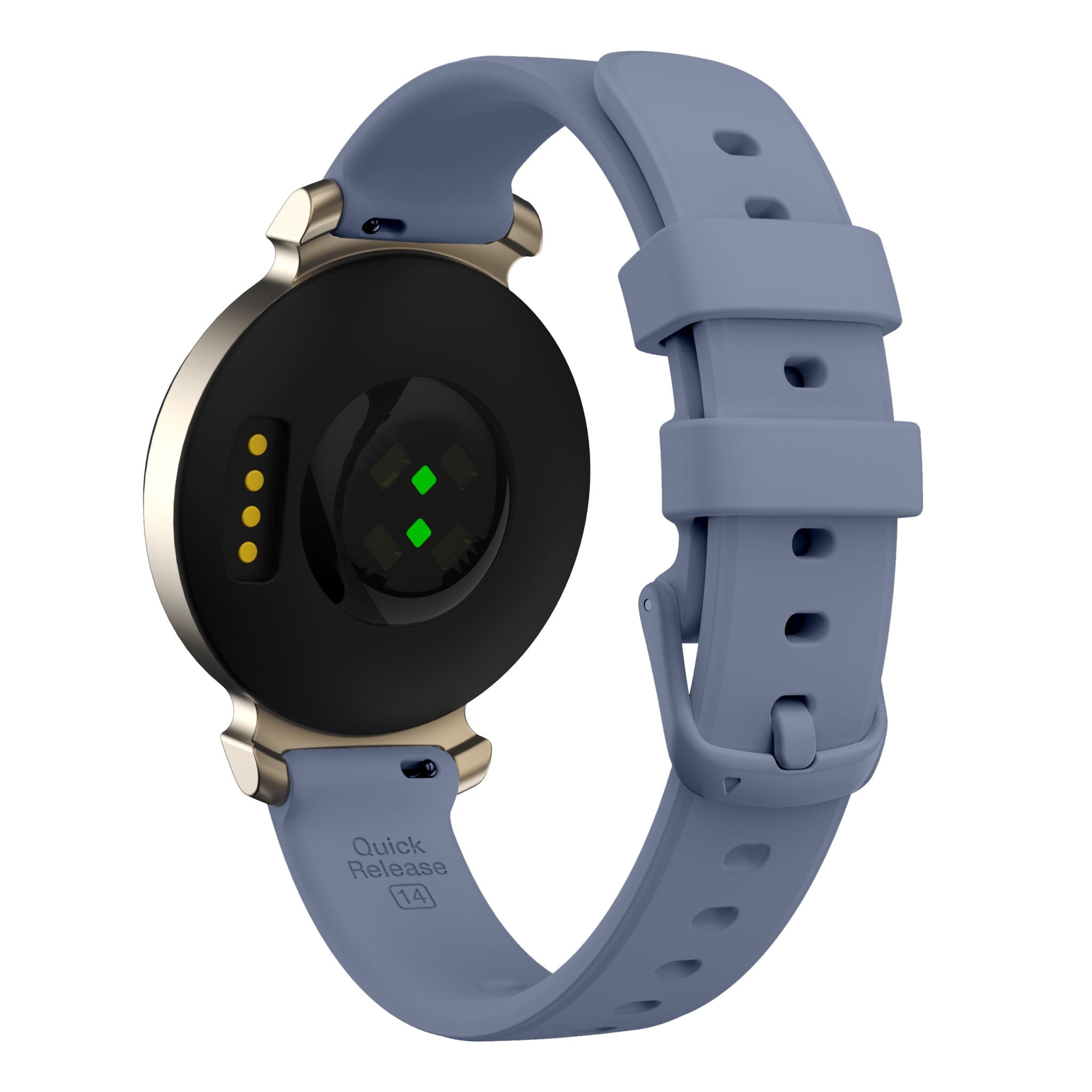 Garmin Lily 2 Strap