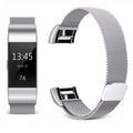 Fitbit Charge 2 Strap - Silver